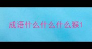 成语什么什么什么猴
