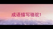 成语描写骆驼