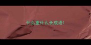 什么重什么长成语