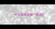 一个东南西北猜一成语