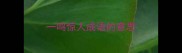 一鸣惊人成语的意思