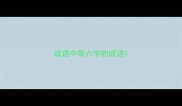 成语中带六字的成语