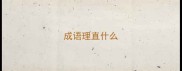 成语理直什么