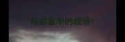 形容直率的成语
