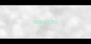成语关于罗