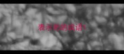 表示死的成语