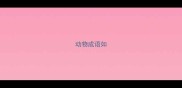 动物成语如