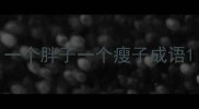 一个胖子一个瘦子成语
