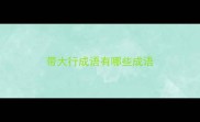 带大行成语有哪些成语