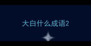 大白什么成语