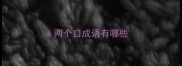 两个口成语有哪些