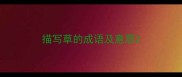 描写草的成语及意思