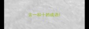 含一和十的成语