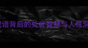 披羊皮的狼经典成语背后的处世智慧与人性洞察附全文深度