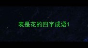 表是花的四字成语