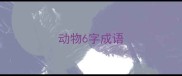 动物6字成语