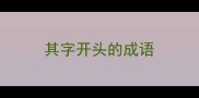 其字开头的成语