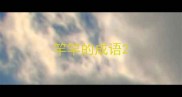 竿竿的成语