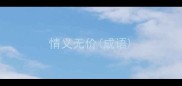 情义无价成语