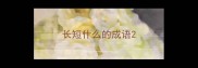 长短什么的成语