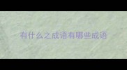 有什么之成语有哪些成语