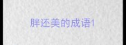 胖还美的成语