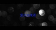 莹火虫成语