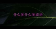 什么弛什么弛成语