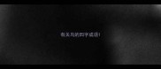 有关鸟的四字成语