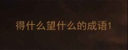 得什么望什么的成语
