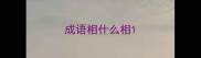 成语相什么相