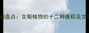 菊花经典成语盘点含菊植物的十二种雅称及文化寓意深度