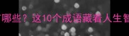包容为怀的成语有哪些这10个成语藏着人生智慧值得收藏