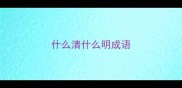 什么清什么明成语
