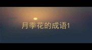 月季花的成语