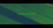 雌雄组成的成语