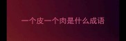 一个皮一个肉是什么成语