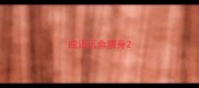 成语玩命猜身