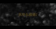 风什么成语