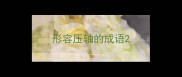 形容压轴的成语
