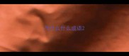 尺什么什么成语