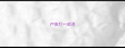 户独打一成语