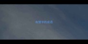 有慧字的成语