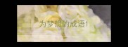 为梦想的成语