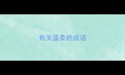 有关温柔的成语