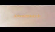 采开头的成语接龙大全