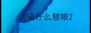 成语什么慧眼