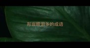 形容眼泪多的成语