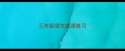 三年级语文成语练习