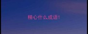 精心什么成语